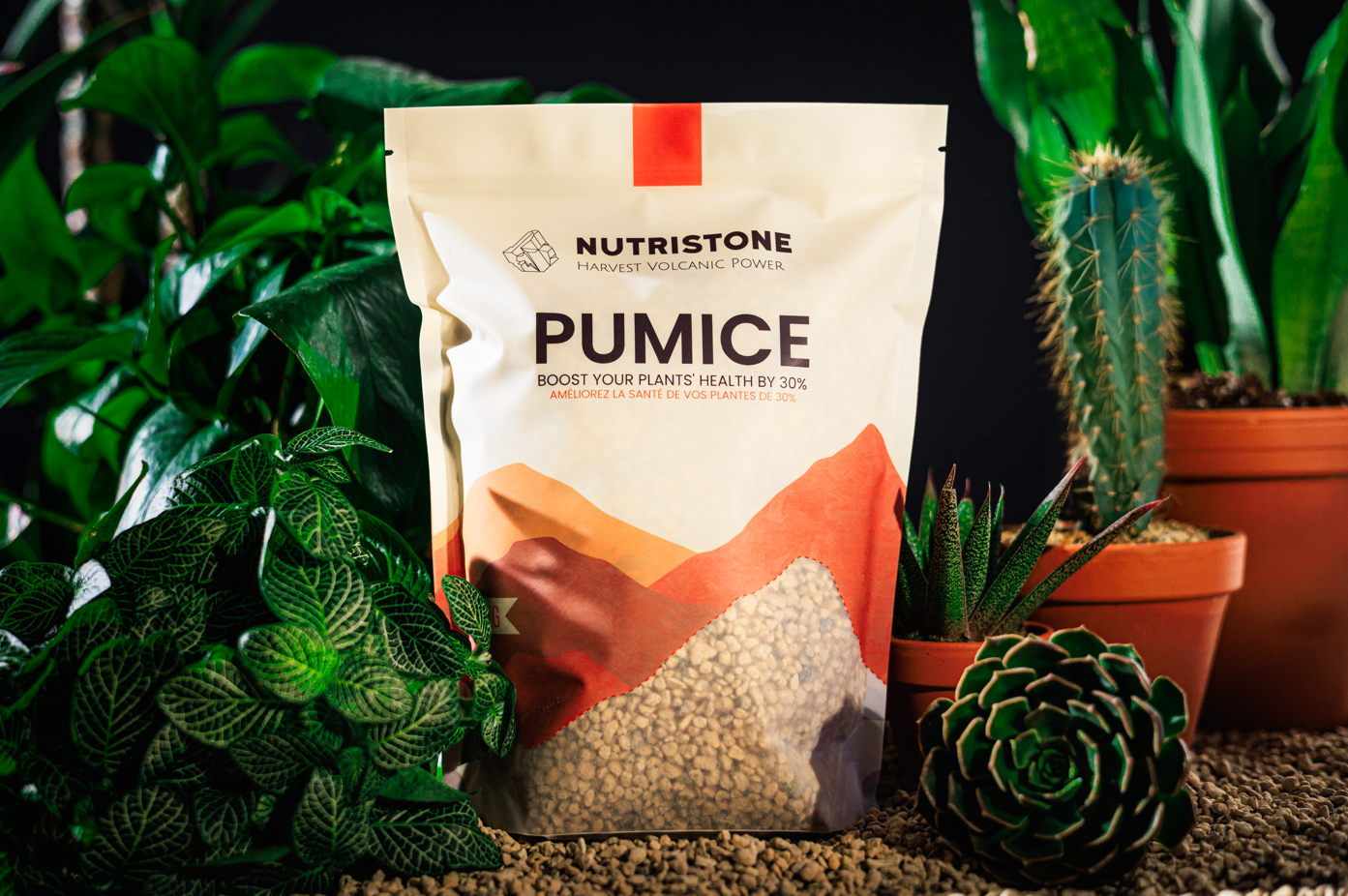 Pumice pour plantes