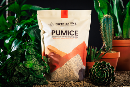 Pumice pour plantes