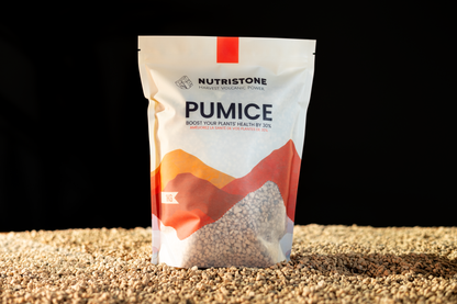 Pumice pour plantes